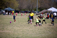 Yellow Tigers Game Photos